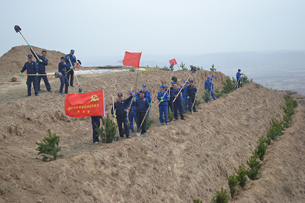 公司積極參加植樹造林活動