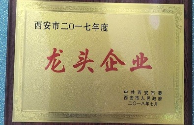 2017年度龍頭企業(yè)